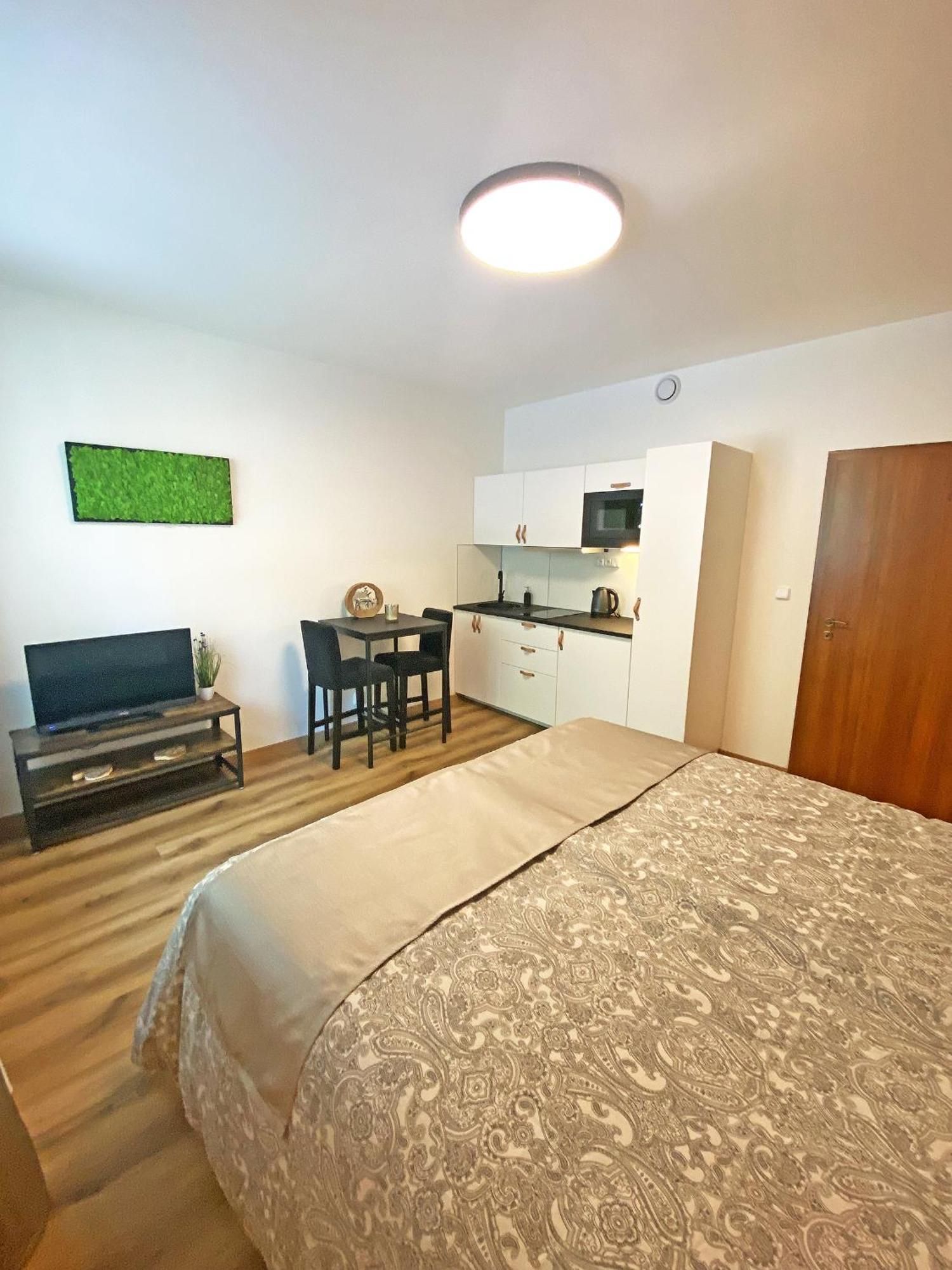 Apartmany Rezac ロキトニツェ・ナト・イゼロウ エクステリア 写真